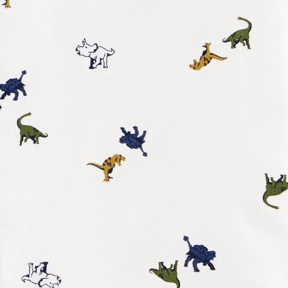 CARTER's Boy Dinosaur Oxford Button-Front Shirt - Picture 3 of 3